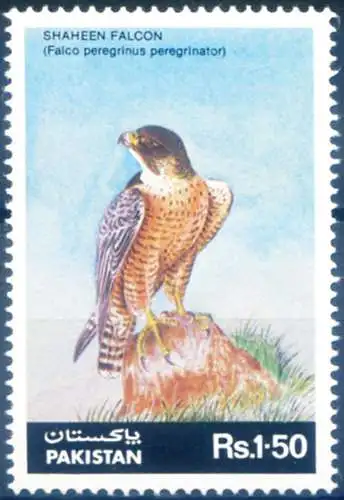 Fauna. Falco 1986.