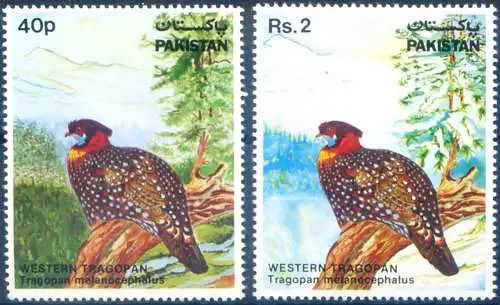 Fauna. Vögel. Fasan 1982.