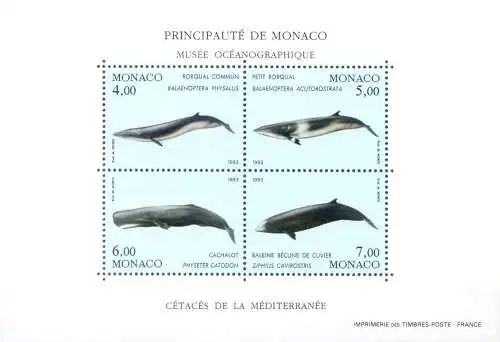 Fauna. Wale 1993.