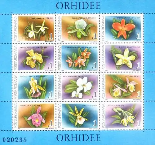 Flora. Orchidee 1988.