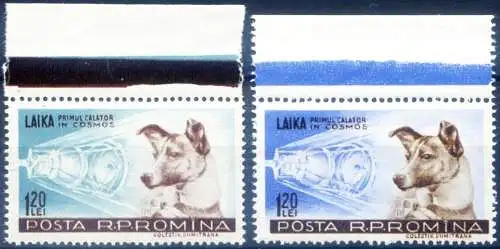 Lajka und Sputnik II 1957.