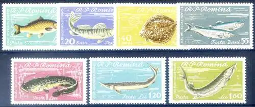 Fauna. Fische 1960.