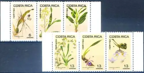 Flora. Blumen. Orchidee 1985.