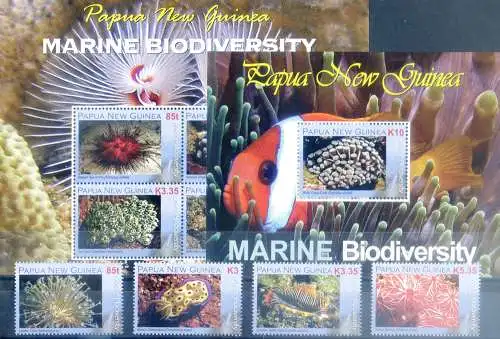 Meeresbiodiversität 2008.
