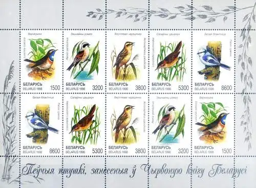 Fauna. Vögel 1998.