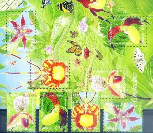 Flora. Orchidee 2005.