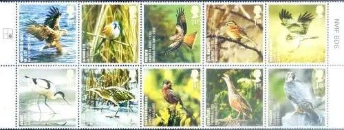 Naturschutz 2007. Fauna. Vögel.