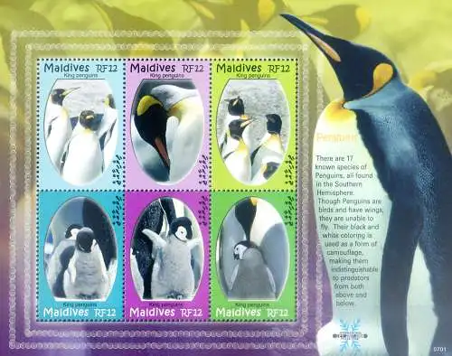 Fauna. Pinguine 2007.