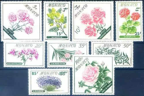 Flora. Blumen 1959. Überfordert.