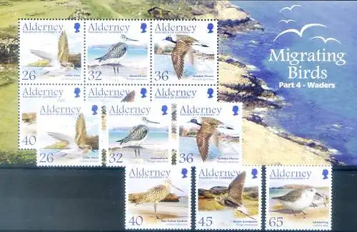 Alderney. Fauna. Zugvögel 2005.