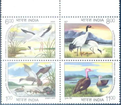 Fauna. Vögel 1994.