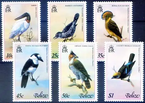 Fauna. Vögel 1980.