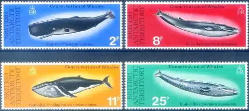 Fauna. Wale 1977.
