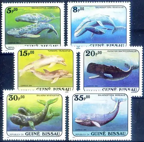 Fauna. Wale 1984.