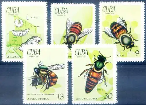 Fauna. Bienen 1971.