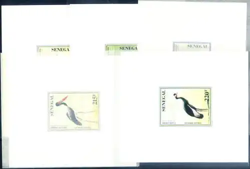 Fauna. Vögel 1997. Testen Sie Luxus.