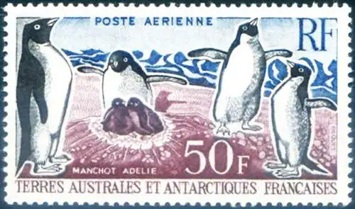 Fauna. Pinguine von Adelia 1963.