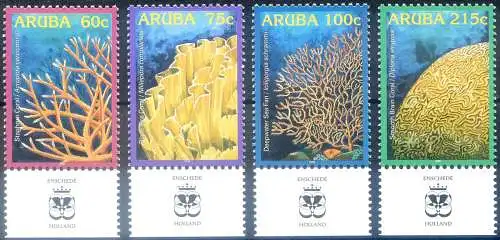 Aruba. Korallen 2005.