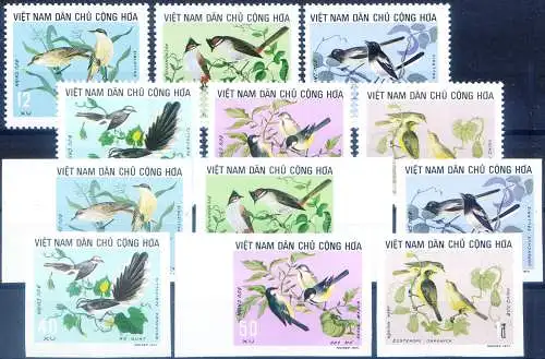 Nord. Fauna. Vögel 1973.