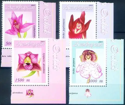 Flora. Orchidee 2005.