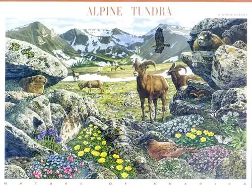 Alpine Tundra 2007.