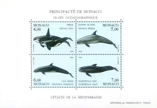 Fauna. Cetacei 1994.