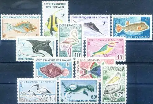 Costa dei Somali. Definitiv. Fauna 1959-1960.