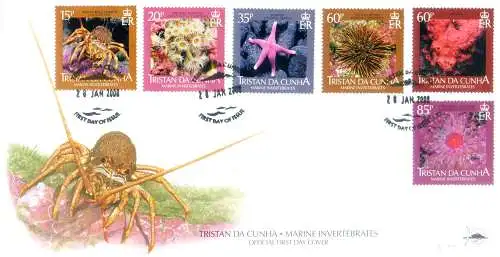 Meeresfauna 2008. FDC.