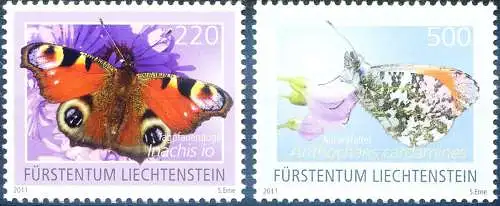 Fauna. Farfalle 2011.