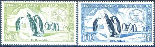 Fauna. Kaiserpinguine 1956.