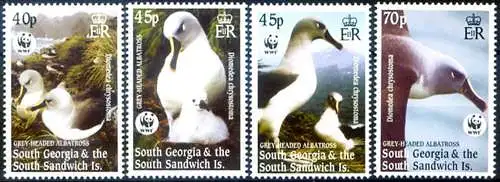 Südgeorgien. Fauna. Albatros 2003.