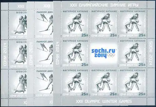 Sport. Olympische Spiele Sotschi 2013.