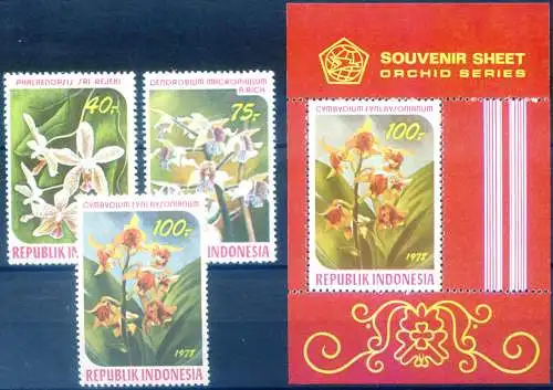 Flora. Blumen. Orchidee 1978.