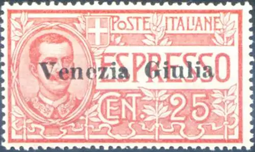 Venezia Giulia. Espresso 1919. Linguellato.