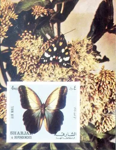 Sharjah. Fauna. Farfalle 1972.