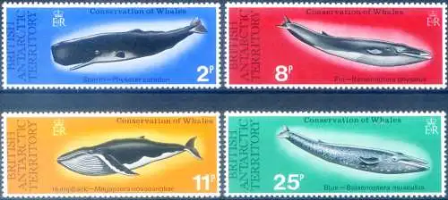 Fauna. Cetacei 1977.