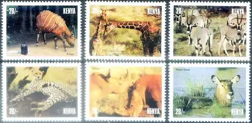 Wildtiere 1996.