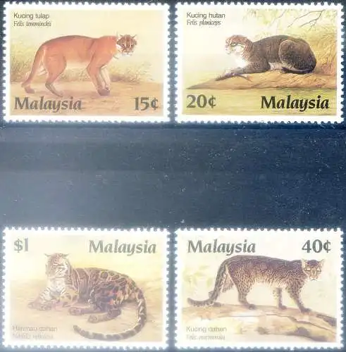 Fauna. Wildkatzen 1987. Nicht optimale Verzahnung.