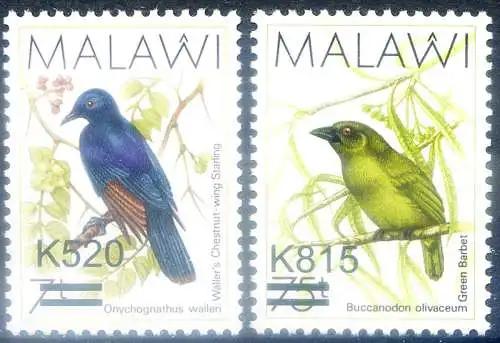 Definitiv. Vögel. 2016 überdruckt.