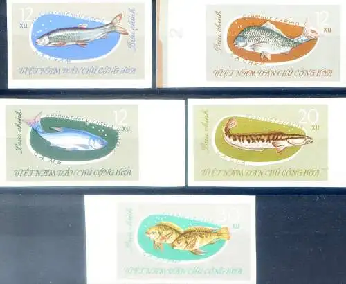 Fauna. Fische 1963.