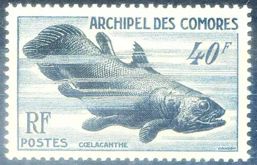 Fauna. Fisch 1954.