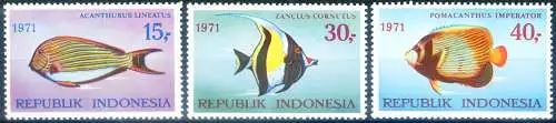 Fauna. Fische 1971.