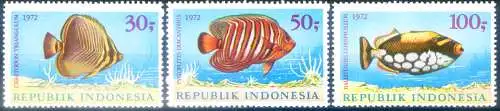 Fauna. Fische 1972.