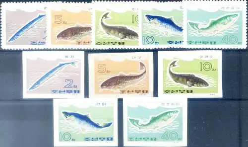Fauna. Fische 1966.