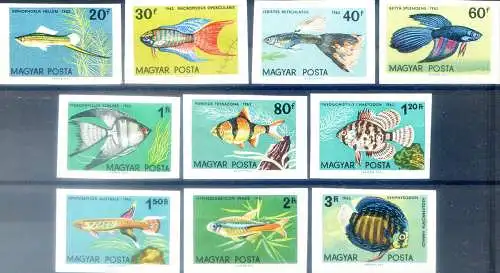 Fauna. Fische 1962.
