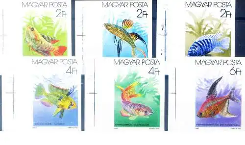 Fauna. Fische 1987.