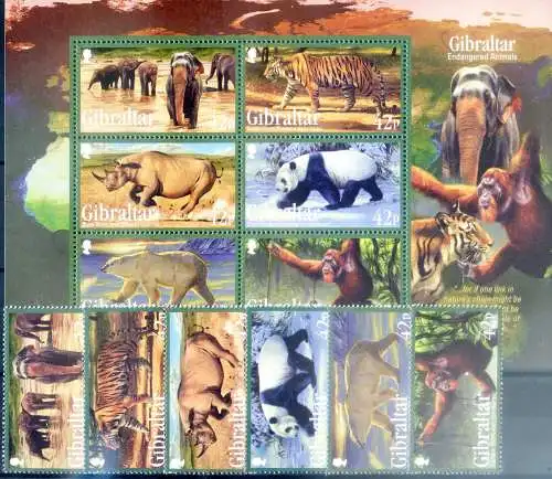 Wildtiere 2011.