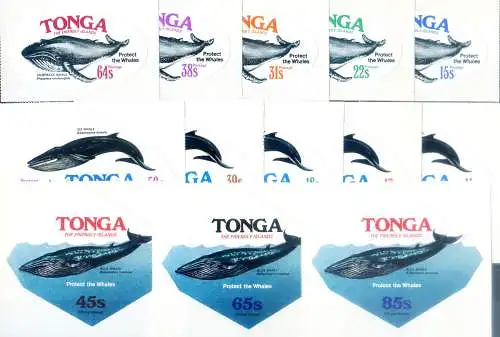 Fauna. Cetacei 1977.