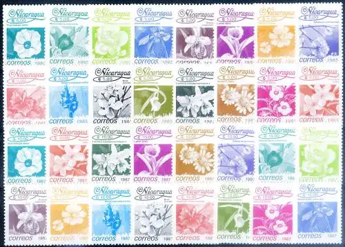 Definitiv. Flora. Blumen 1986-1987.