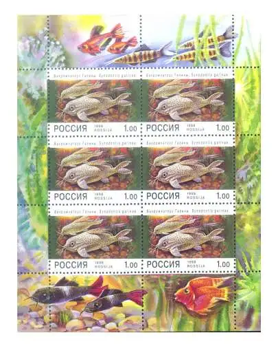 Fauna. Fische 1998.